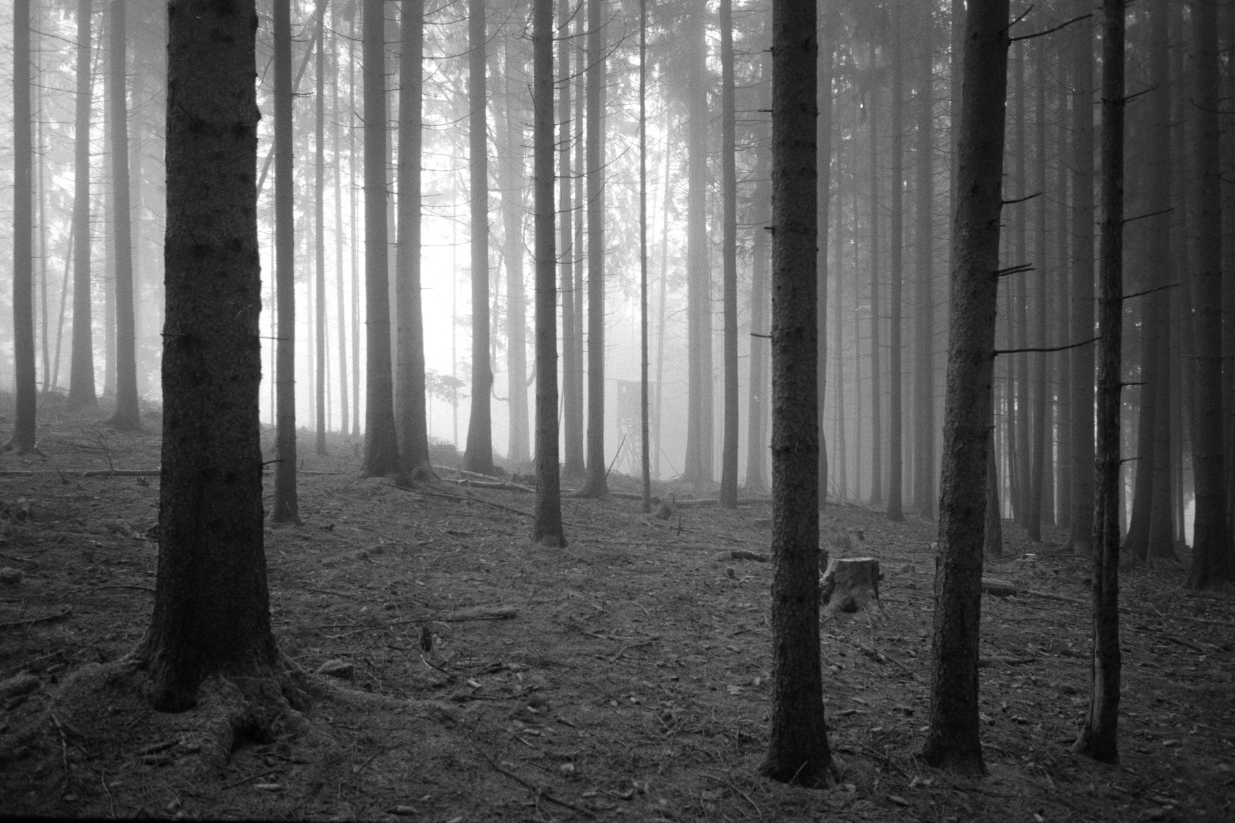 Leica M6 | Leica Elmarit 28 | Rollei Retro 400 Digitized with Sony A7 | Valoi 35 Easy Home developed in HC-110 B | 06:30 | Ilford Negative Lab Pro v3.1.1 | Color Model: B+W | Pre-Sat: 3 | Tone Profile: Linear + Gamma | WB: None | LUT: Frontier