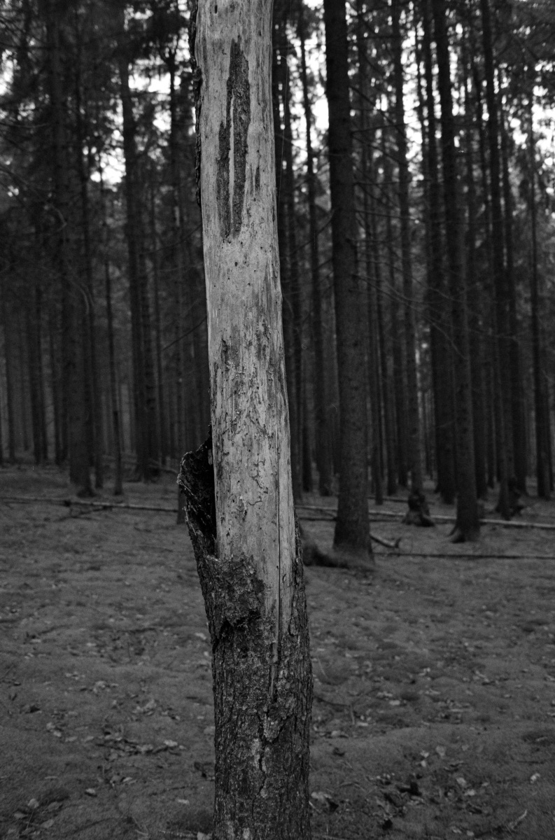 Leica M6 | Leica Elmarit 28 | Rollei Retro 400 Digitized with Sony A7 | Valoi 35 Easy Home developed in HC-110 B | 06:30 | Ilford Negative Lab Pro v3.1.1 | Color Model: B+W | Pre-Sat: 3 | Tone Profile: Linear + Gamma | WB: None | LUT: Frontier