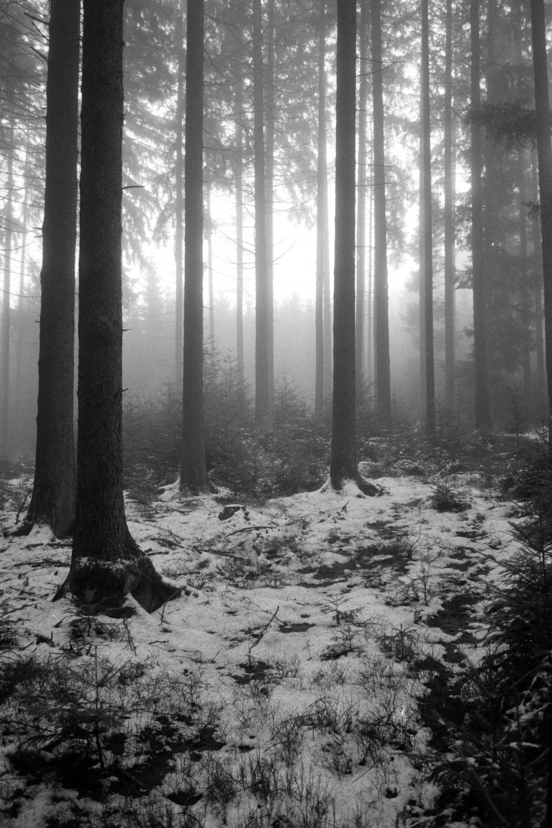 Leica M6 | Leica Elmarit 28 | Rollei Retro 400 Digitized with Sony A7 | Valoi 35 Easy Home developed in HC-110 B | 06:30 | Ilford Negative Lab Pro v3.1.1 | Color Model: B+W | Pre-Sat: 3 | Tone Profile: Linear + Gamma | WB: None | LUT: Frontier