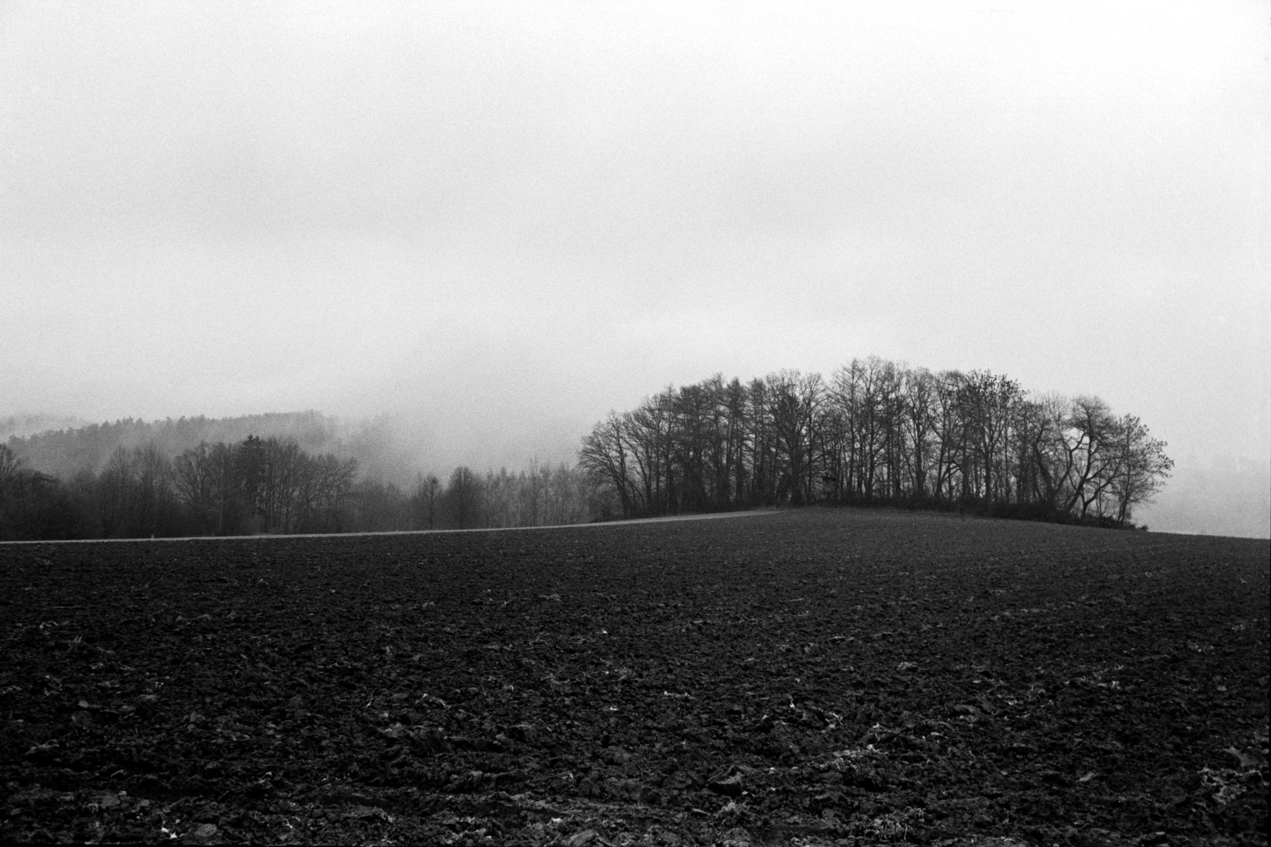 Leica M6 | Leica Summilux 35 Steel Rim | HP5 400 Scanned with Sony A7 | valoi 35 Easy Home developed in D-76 1:1 | 16:30/20 | Ilford Negative Lab Pro v3.1.1 | Color Model: B+W | Pre-Sat: 3 | Tone Profile: Linear + Gamma | WB: None | LUT: Frontier