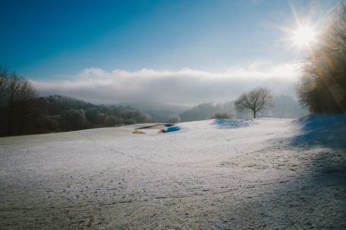 20241231-L1007707-2-scaled