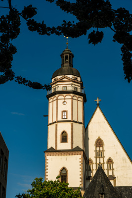 DSC01206