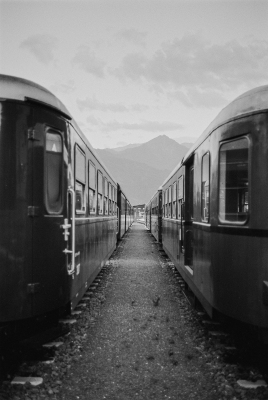 20240824-R1-09900-0019