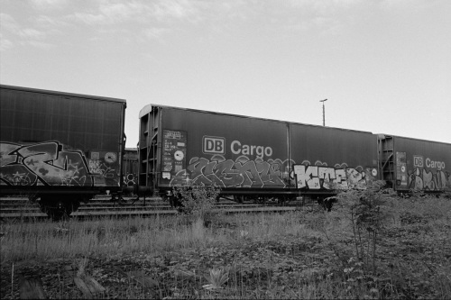 20250525-DSC00326-analog-bw-D76-Elmarit-28-Homelab-ISO-800-Kantmere-400-Leica-mp