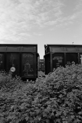 20250525-DSC00327-analog-bw-D76-Elmarit-28-Homelab-ISO-800-Kantmere-400-Leica-mp