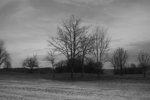 20250106-L1007725