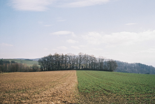 20250410-R1-02663-0015-analog-film-frontier-fujifilm-Kodak-Colorplus-Leica-mp-sp3000-Summilux-35-urbanfilmlab-www.urbanfilmlab.com_