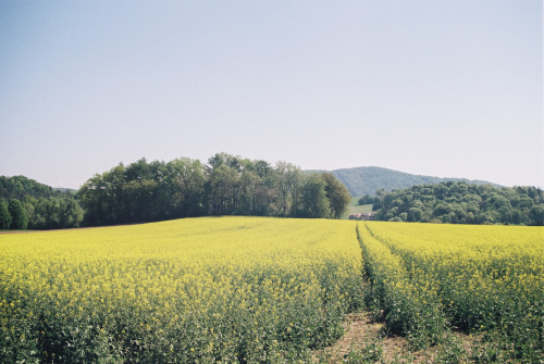 20250519-R1-03218-032A-analog-Canon-A1-film-frontier-fujifilm-Kodak-Colorplus-sp3000-urbanfilmlab-www.urbanfilmlab.com_