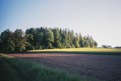 20250519-R1-03219-033A-analog-film-frontier-fujifilm-Leica-mp-sp3000-Summilux-35-Superia-urbanfilmlab-www.urbanfilmlab.com_