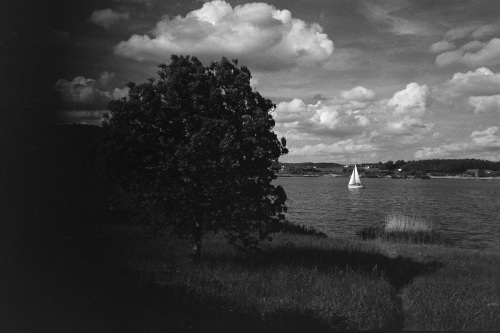 20250525-DSC00350-analog-bw-D76-Elmarit-28-Homelab-ISO-800-Kantmere-400-Leica-mp