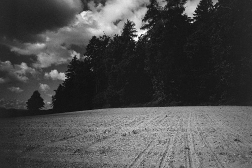 20250525-DSC00380-analog-Analogheld-Old-Shutter-Hand-bw-D76-Elmarit-28-film-Homelab-ISO-200-Leica-mp