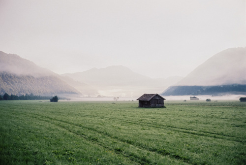 20250824-R1-05251-033A-analog-film-frontier-fujifilm-ISO-100-Kodak-Gold-200-Leica-M6-roll45-sp3000-Summilux-35-urbanfilmlab-www.urbanfilmlab.com_