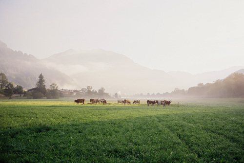 20250825-R1-05252-0004-analog-Ektar-100-film-frontier-fujifilm-ISO-ISO-100-Leica-M6-roll46-sp3000-Summilux-35-urbanfilmlab-www.urbanfilmlab.com_