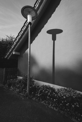 20240715-DSC03342