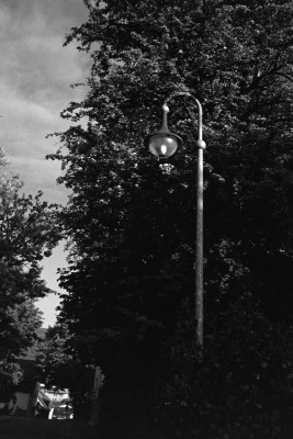 20250525-DSC00332-analog-bw-D76-Elmarit-28-Homelab-ISO-800-Kantmere-400-Leica-mp