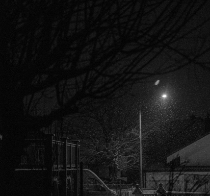 DSC02461