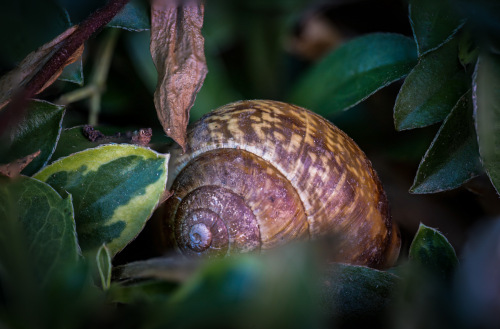 20230701-DSC01717-Bearbeitet