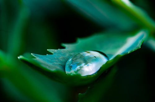 DSC01681-Bearbeitet-Kopie