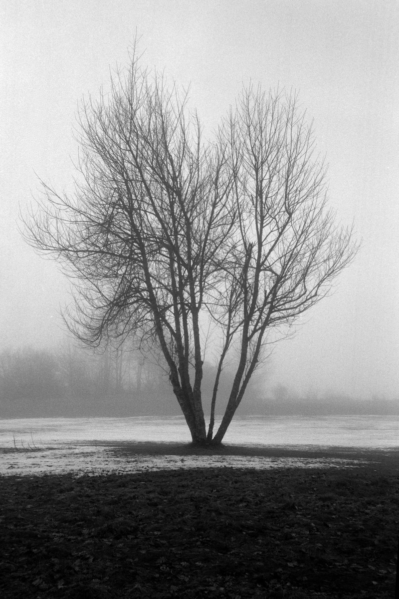 Leica M6 | Leica Elmarit 28 | Rollei Retro 400 Digitized with Sony A7 | Valoi 35 Easy Home developed in HC-110 B | 06:30 | Ilford Negative Lab Pro v3.1.1 | Color Model: B+W | Pre-Sat: 3 | Tone Profile: Linear + Gamma | WB: None | LUT: Frontier