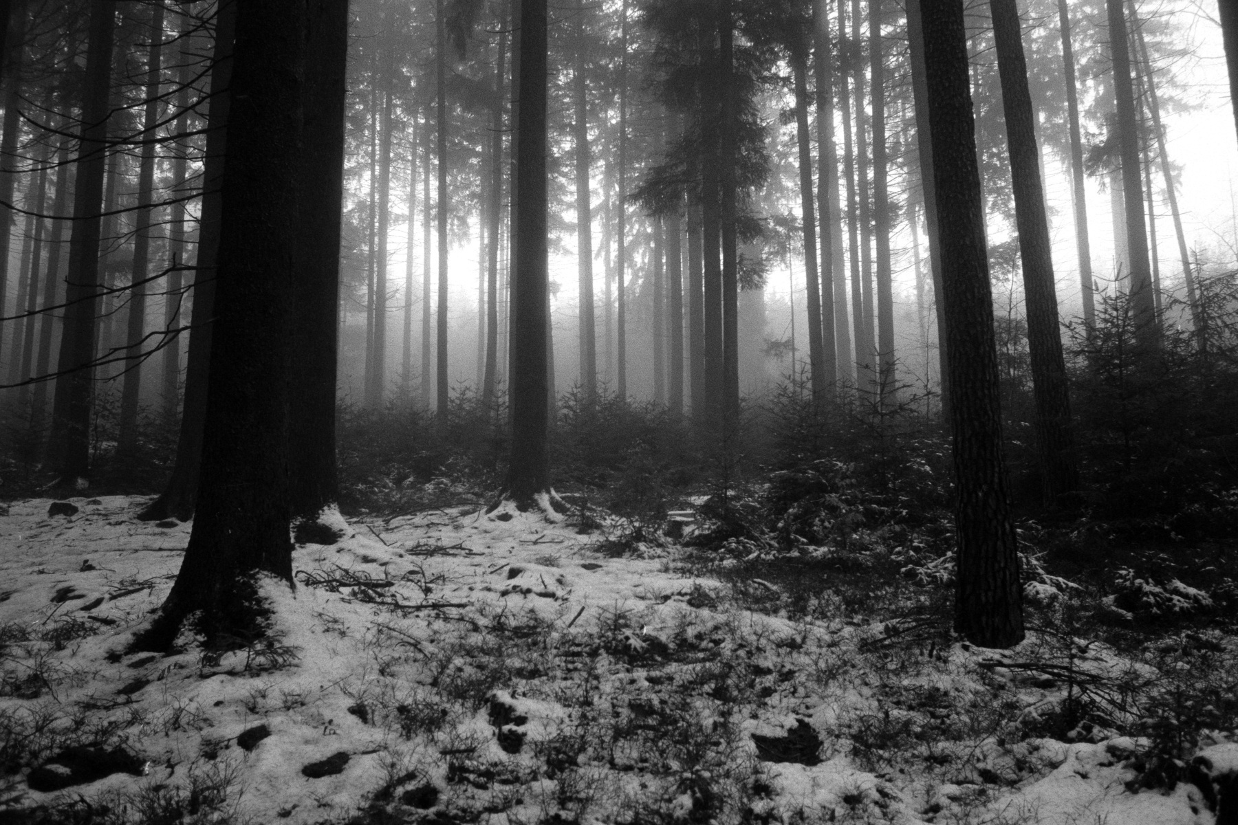 Leica M6 | Leica Elmarit 28 | Rollei Retro 400 Digitized with Sony A7 | Valoi 35 Easy Home developed in HC-110 B | 06:30 | Ilford Negative Lab Pro v3.1.1 | Color Model: B+W | Pre-Sat: 3 | Tone Profile: Linear + Gamma | WB: None | LUT: Frontier