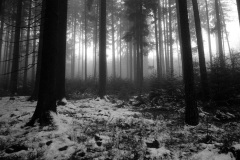 Leica M6 | Leica Elmarit 28 | Rollei Retro 400 Digitized with Sony A7 | Valoi 35 Easy Home developed in HC-110 B | 06:30 | Ilford Negative Lab Pro v3.1.1 | Color Model: B+W | Pre-Sat: 3 | Tone Profile: Linear + Gamma | WB: None | LUT: Frontier