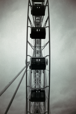 20241215-DSC00193