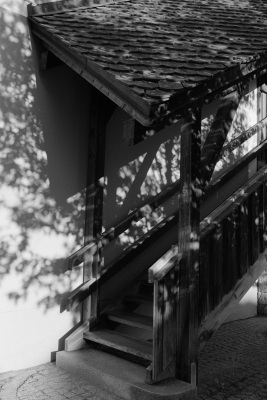 20250525-DSC00344-analog-bw-D76-Elmarit-28-Homelab-ISO-800-Kantmere-400-Leica-mp