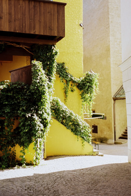 20250826-R1-05253-0008-analog-film-frontier-fujifilm-ISO-200-Leica-M6-roll47-sp3000-Summilux-35-urbanfilmlab-Vision3-250d-AHU-www.urbanfilmlab.com_