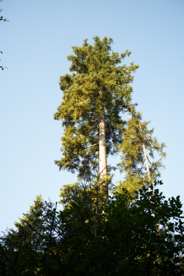 L1007129